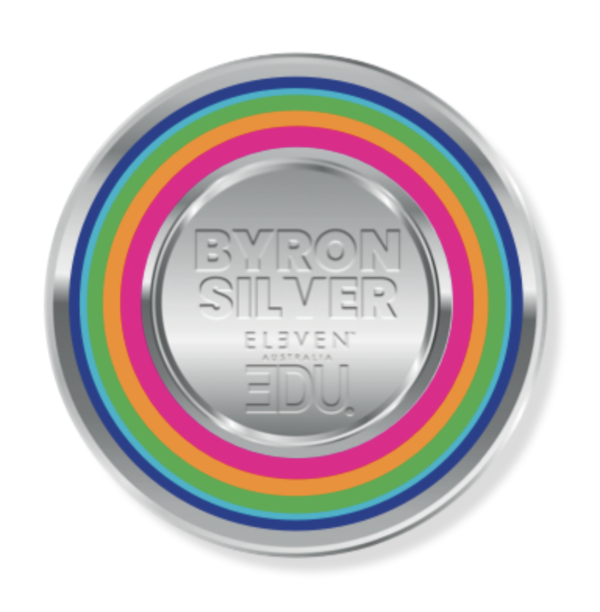 ELEVEN.Colour Byron Silver level 2 värvikoolitus - Image 2